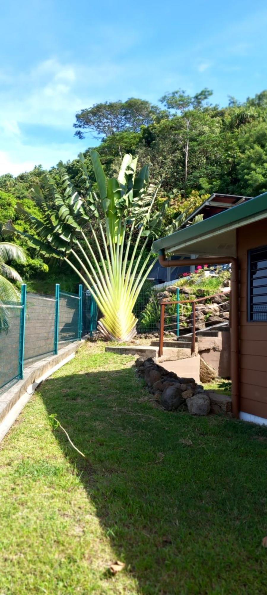 Fare Anuanua Bed & Breakfast Haapiti Exterior foto